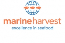 MORPOL MARINE HARVEST : Atelier de tranchage de saumons